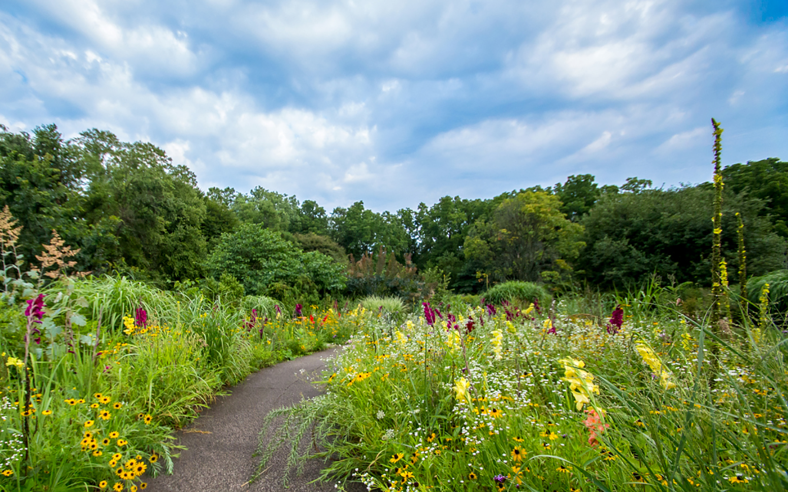 thingstodo-nearbyattractions-cropped-replacement Flower-lined Walking Trail - Things To Do near the Harbor Grand Hotel