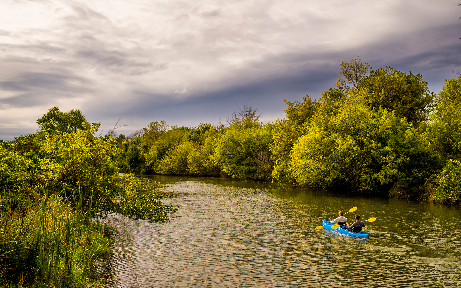Kayaking along the lakeshore - Outdoor activities at the Harbor Grand