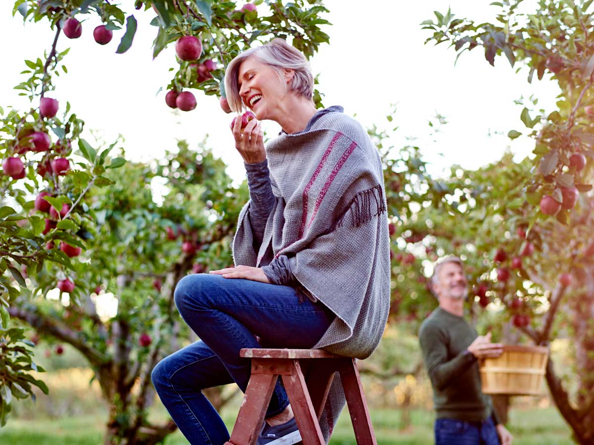 applepicking